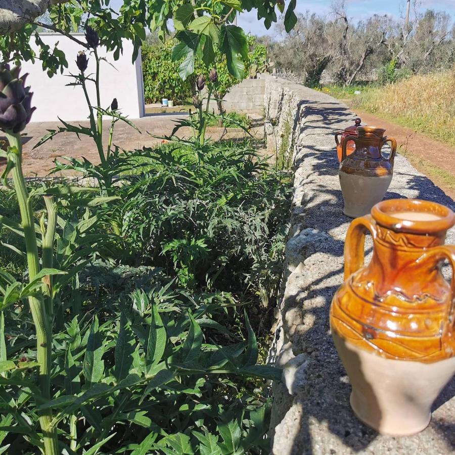 Villa Mios Muro Leccese Zewnętrze zdjęcie