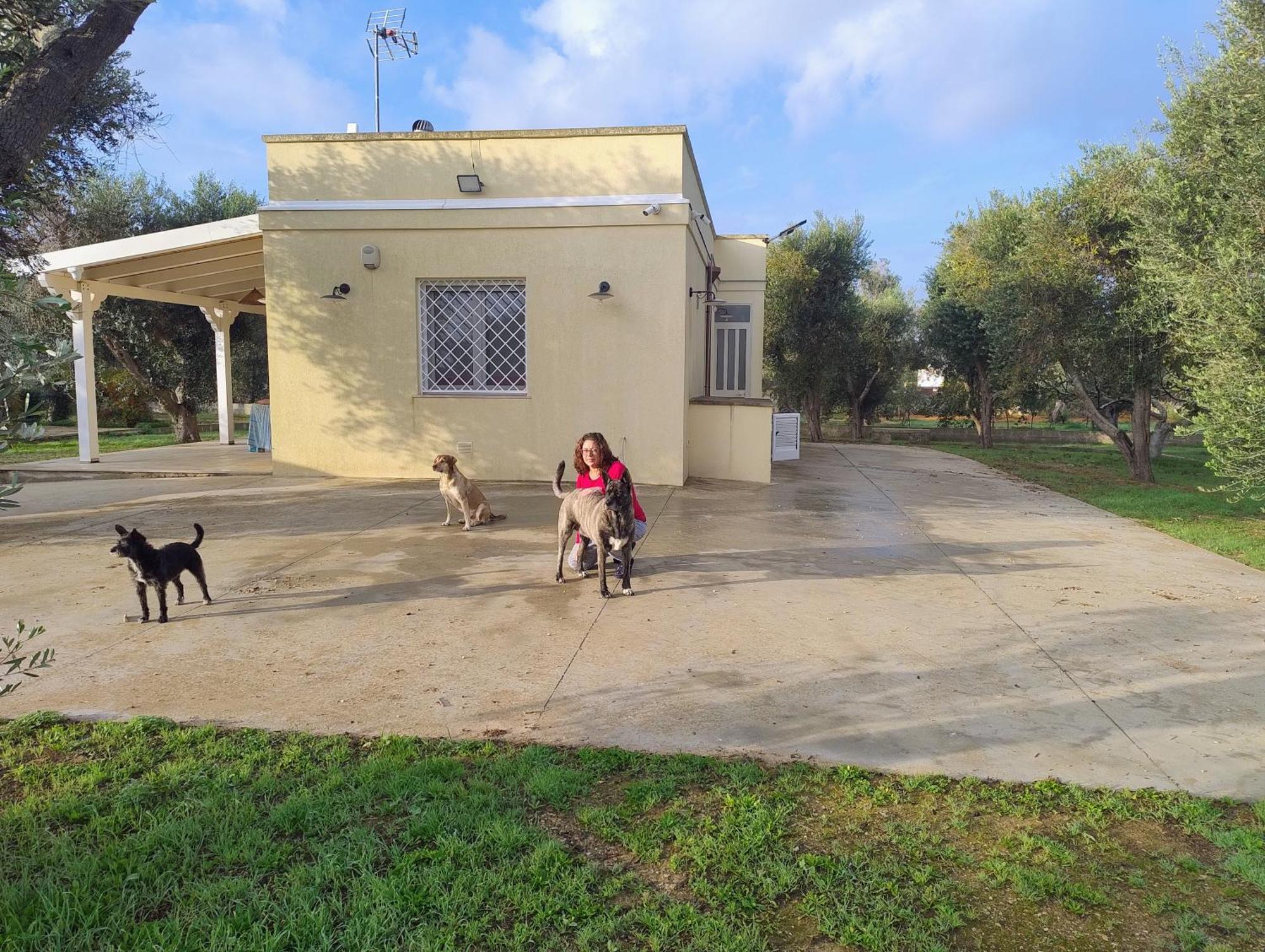 Villa Mios Muro Leccese Zewnętrze zdjęcie